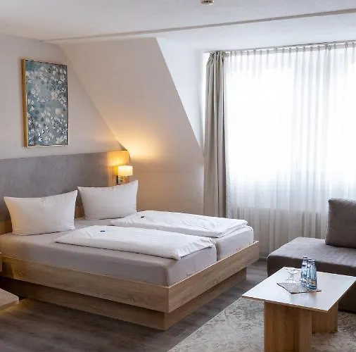 Hotel Altstadt-hotel 3*